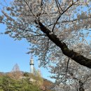 착한언니 이미지