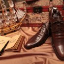 파티나인 이미지