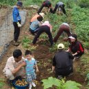 하운농장 이미지