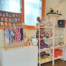 댕바라기 이미지