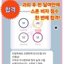 쪽집게과외 | [PTE 과외] ❤️ 과외 한 달 만에 스폰비자 목표 점수 달성 후기 ❤️