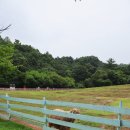 매내골 농장 이미지