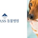 S클래스 동물병원 이미지