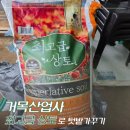 거목농장 | 노지 텃밭의 시작, 거목산업사의 최고급 상토 50L로 튼튼한 모종 기르기 후기