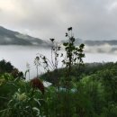 구적골농원 이미지