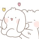 남녘들회국수 보쌈 이미지