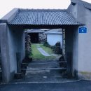 제주애아리 이미지