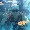 [수영기록] 분당 금곡공원 국민체육센터 주말 자유수영 후기 (현장발권 꿀팁)