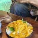 청해농장 | 나트랑 바구니배 시내투어 코코투어 가족여행 필수 코스 꿀잼!