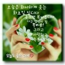 인생의 사색. 있는것.독약과 묘약. 천궁-2. 이모네 밥상 이미지