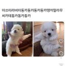 해피하모니 | 상해 여행 그리고 해피벌스데이 마이 베입b
