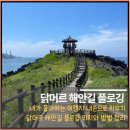 닭머르해안길 | 플로깅하는 제주아빠 닭머르해안길 쓰레기 청소 후기
