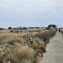 카멜리아한의원 이미지