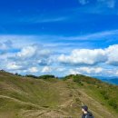 송송세탁소 이미지