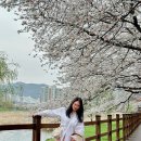 오천153 이미지
