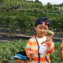 영욱농장 이미지