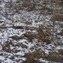 개금반도보라 이미지