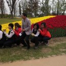 달님민박 이미지