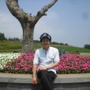 스카이-힐 이미지