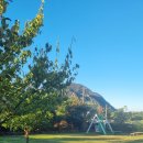 섬 - 대지의 노래 이미지