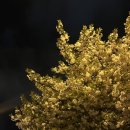 서울프린스호텔 | [일본] 삿포로 스스키노 가성비 가족 숙소 추천 - 프린스 호텔