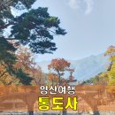 [양산여행] 가을 통도사, 한국 3대 사찰 다녀온 후기