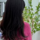 한양대학로1 | 나만의 빛나는 스타일을 찾아서: 안산 고잔동 미용실 탐방 후기