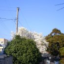 중문동-28 이미지