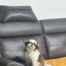 지애약국 이미지