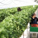 만기농장 이미지