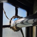 영등삼성아파트 이미지