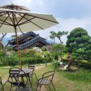 백제삼계탕 이미지