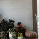 홍가네 | 강릉 현지인 맛집 찾으시나요?홍가네옹심이 직접 다녀온 후기