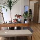 365소통한의원 이미지