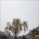 코리아트레일 32코스(천안삼거리공원~직산역)... 이미지