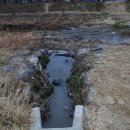 유목초등학교 이미지