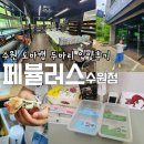 화산로 195~화산로 6번길 6 | 초등 아이 크레스티드게코 도마뱀 입양 페뷸러스 수원점 추천
