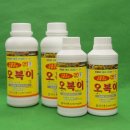 코시팜스 이미지