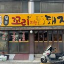 원조꼬리치는돼지 이미지