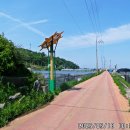 낙조보러가는길 이미지