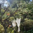 신흥안길 40-15 이미지