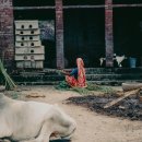 든든 한의원 이미지