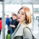 농댕이