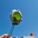 와이즈메디 이미지