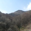 대야농장 Daum카페