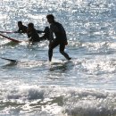 만리포니아 이미지