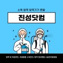 CMS를 도입한 경쟁력있는 소독 방역 업체 진성닷컴(가맹점 모집)