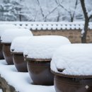 안치환, 정호승시인을 노래하다 | [시남愛詩] 어머니를 위한 자장가