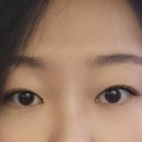 래쉬데이(Lash Day)