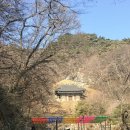 동궁쟁반짜장 | [경주 당일치기] 신라 금관 오픈런 실패 후기 / 석굴암 / 불국사 / 신라향 / 경주 국립박물관 / 첨성대...